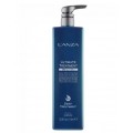 Защитный спрей для волос (шаг 3) LʼANZA Ultimate Treatment Step 2 Power Protector 250мл